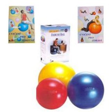 AKCE Míč Classic Plus Gymnic 65 cm + publikace zdarma Cvičení Gymnic Italy Gymnic Italy