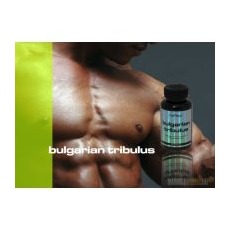 Bulgarian Tribulus 90tbl zlepšení potence