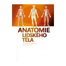 Anatomie lidsk�ho t�la